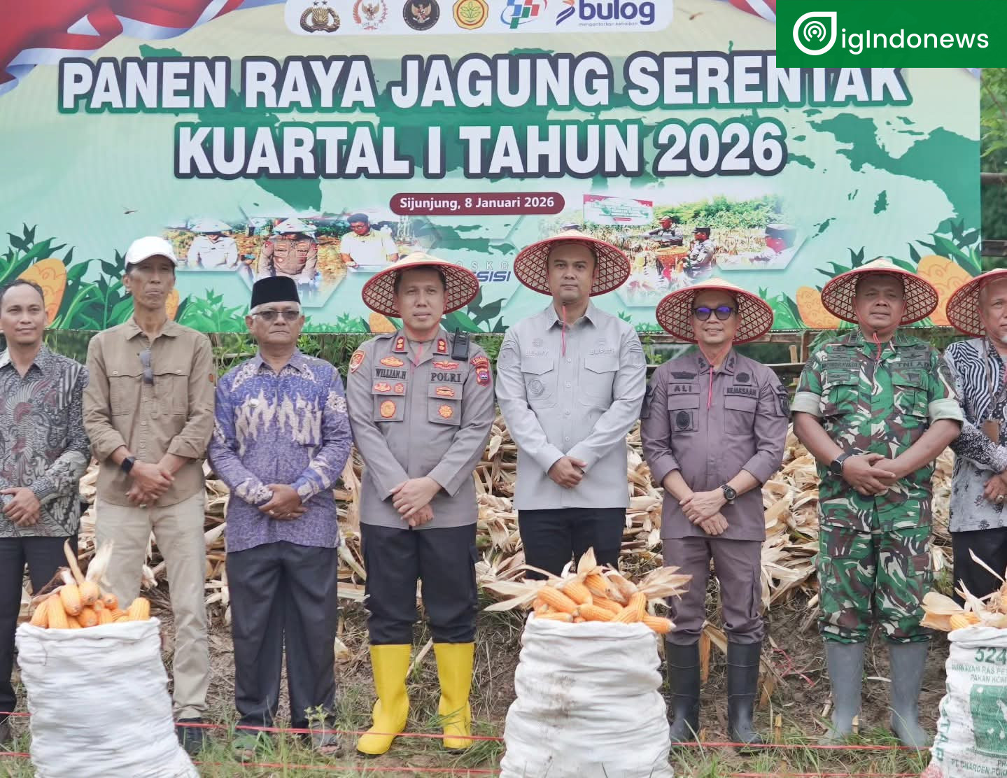 Kapolres Sijunjung AKBP Willian Harbensyah bersama Bupati Sijunjung Benny Dwifa panen raya jagung, bersama Forkompimda