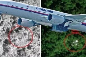 Replik atas hilangnya Pesawat MH 370 milik Malaysia Airlane tujuh tahun lalu. Foto Times