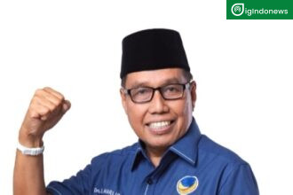 Marlis Alinia Caleg DPR RI Nasdem 2024