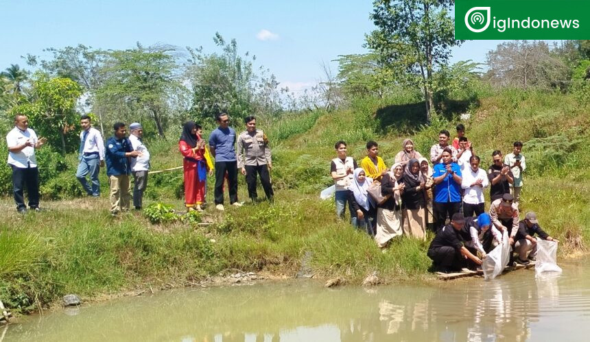 Penyebaran Bibit Ikan Bila Sebanyak 500 Bibit Bersama Fotokan dan Kapolres Sijunjung dan OKP Se Kabupaten Sijunjung