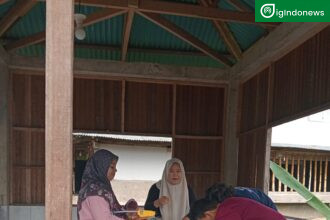 Oleh Hermanto- peserta magang dri BLK Painan di ampuan Lumpo berhasil membuat alat tds sensor pada tanaman hidroponik dengan cara memprogram nya agar dengan cara pengukuran nya berjalan efektif yang di mentori oleh Yhora Widi Rahma wani.